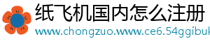 纸飞机国内怎么注册